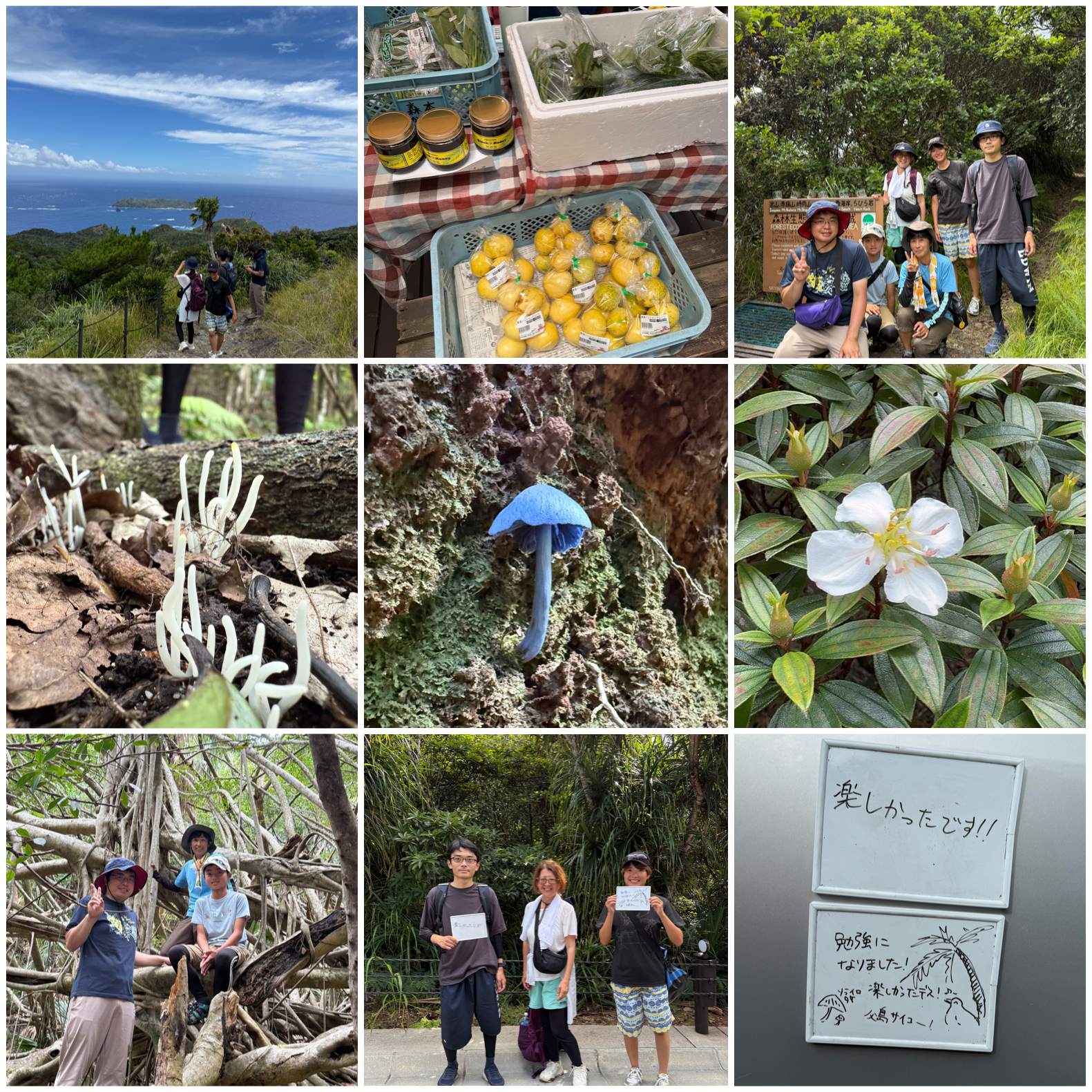 島民もリピーターも楽しみました！