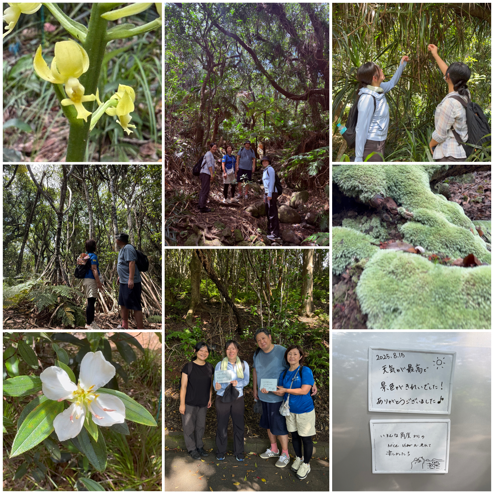 アサヒエビネが咲きました！