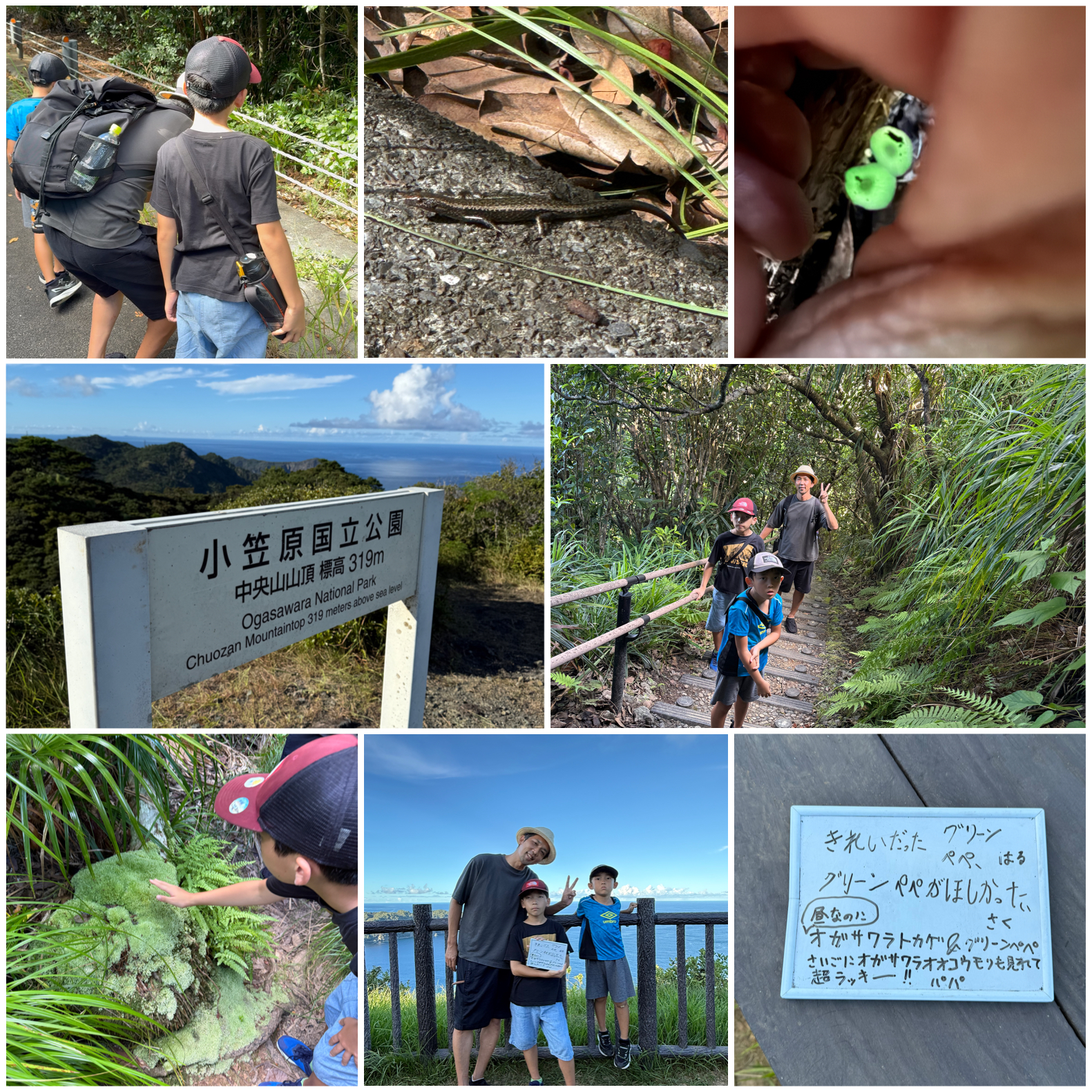 夜ではないのにナイトツアーのようなツアーでした！