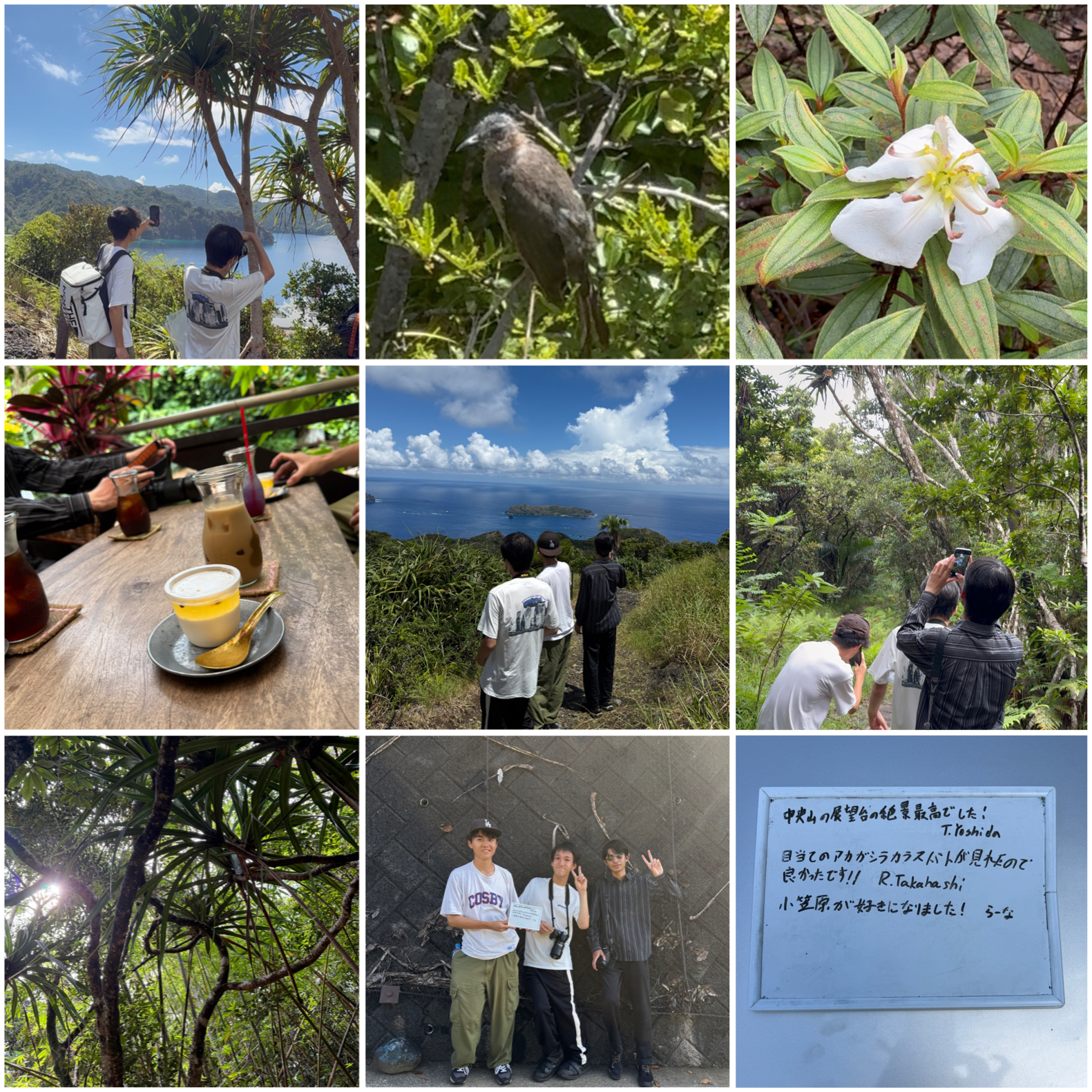 アカガシラカラスバトはどこ？