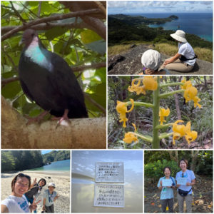 父島が好きになっちゃうツアー