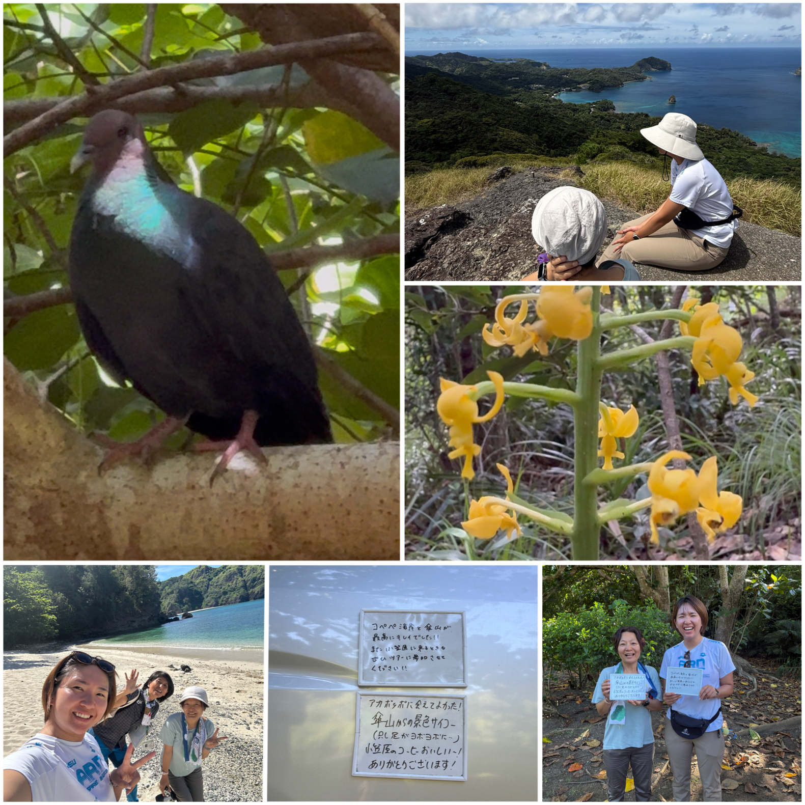 父島が好きになっちゃうツアー