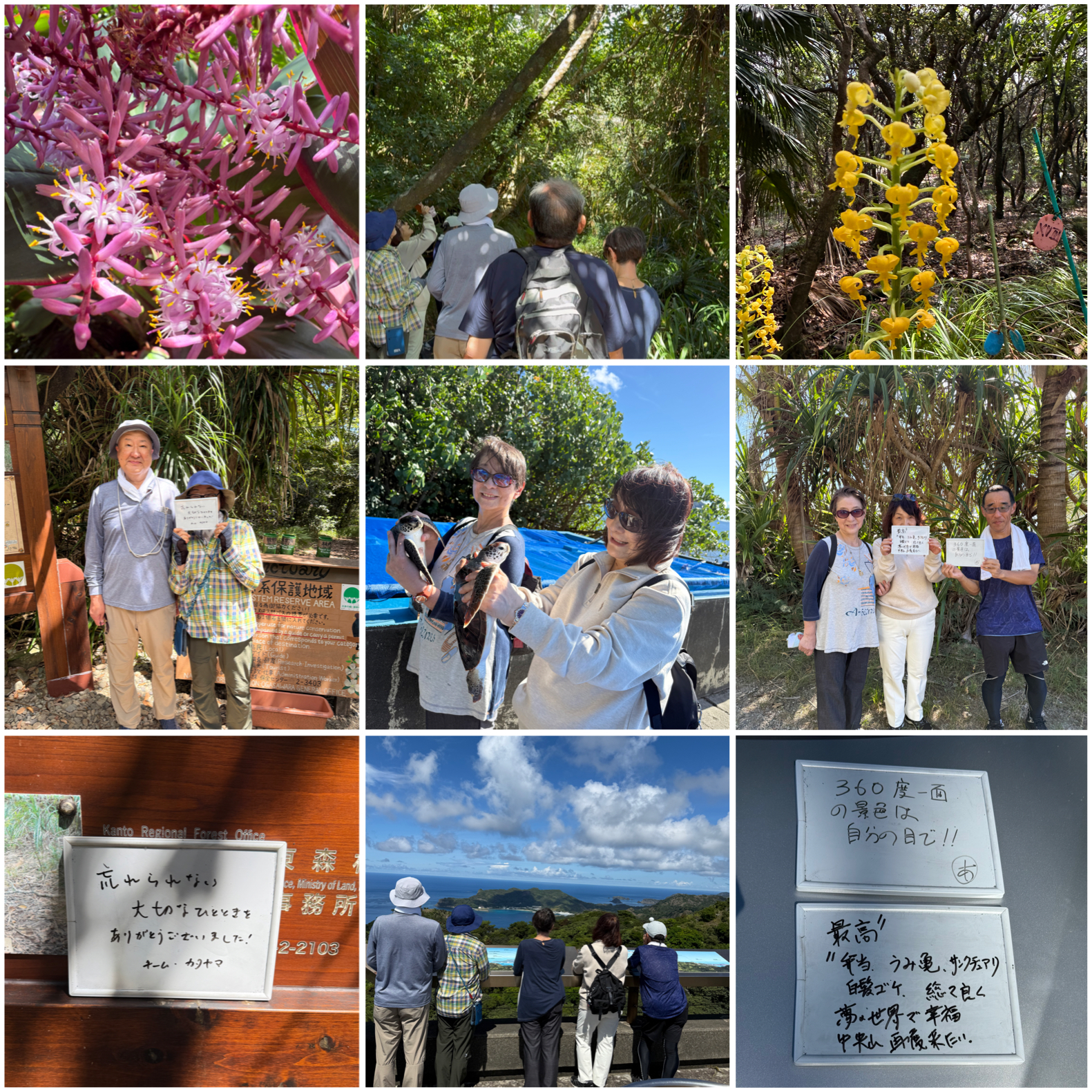 父島で森歩きへ