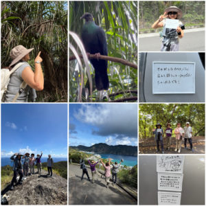 東平アカガシラカラスバトサンクチュアリ