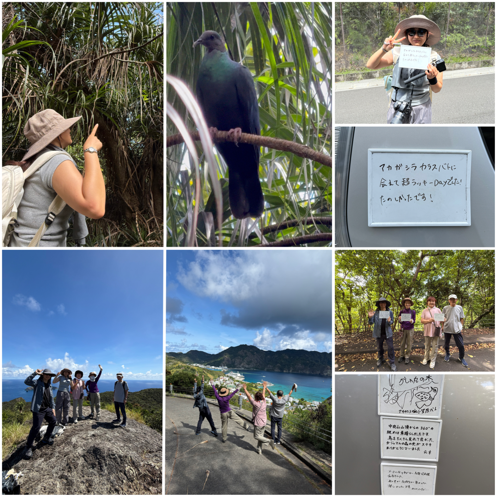 東平アカガシラカラスバトサンクチュアリ