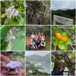 雨の森歩きツアー