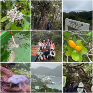 雨の森歩きツアー