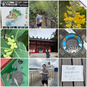 都立公園は大神山公園です