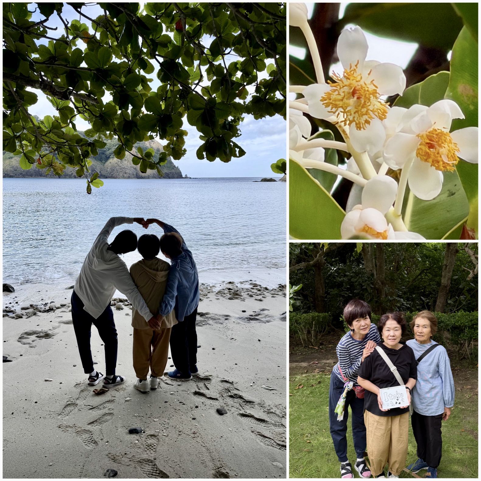 仲良しな従姉妹さん達