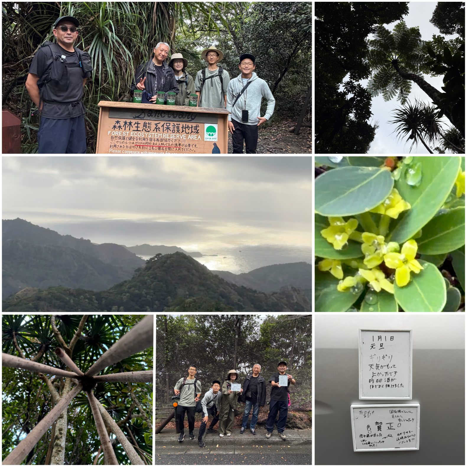 新年は癒しの森歩きツアーから