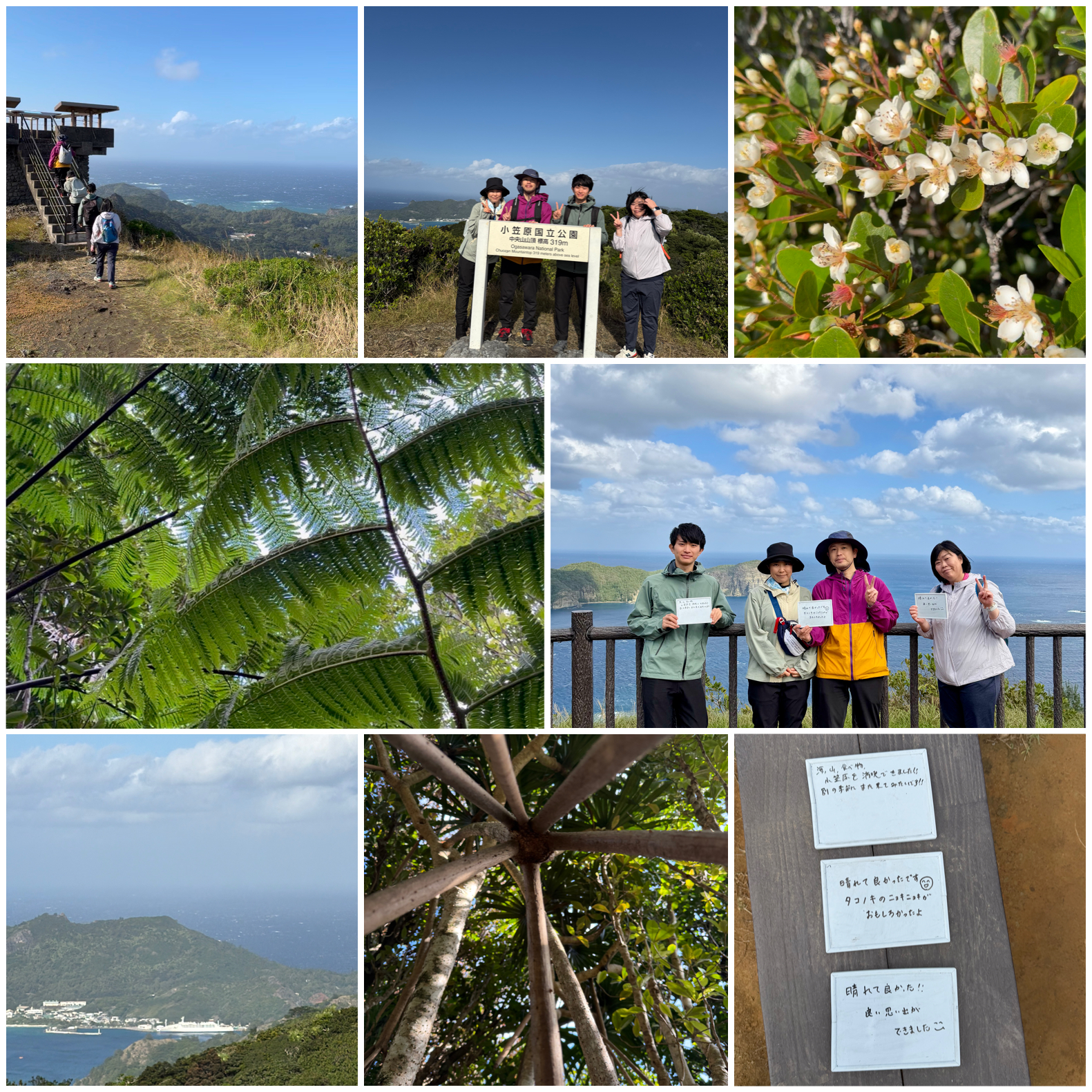 青空の父島で森歩き☀️