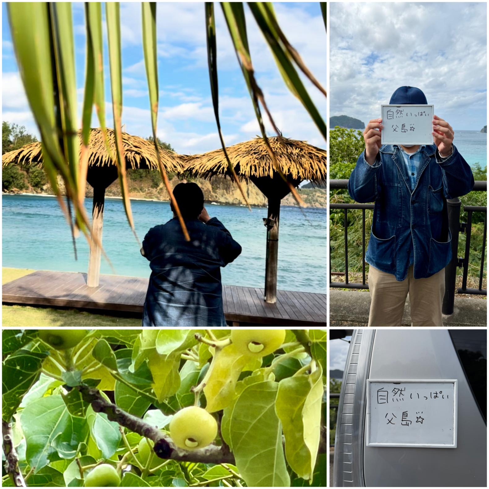 父島をぐるっと巡ります