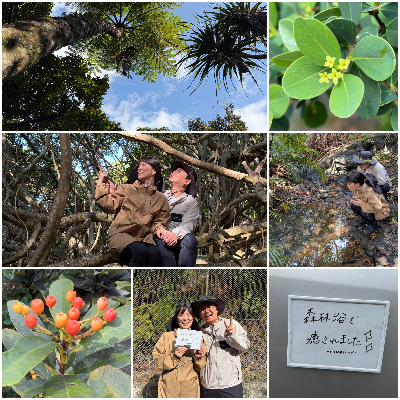 小笠原にようこそ！