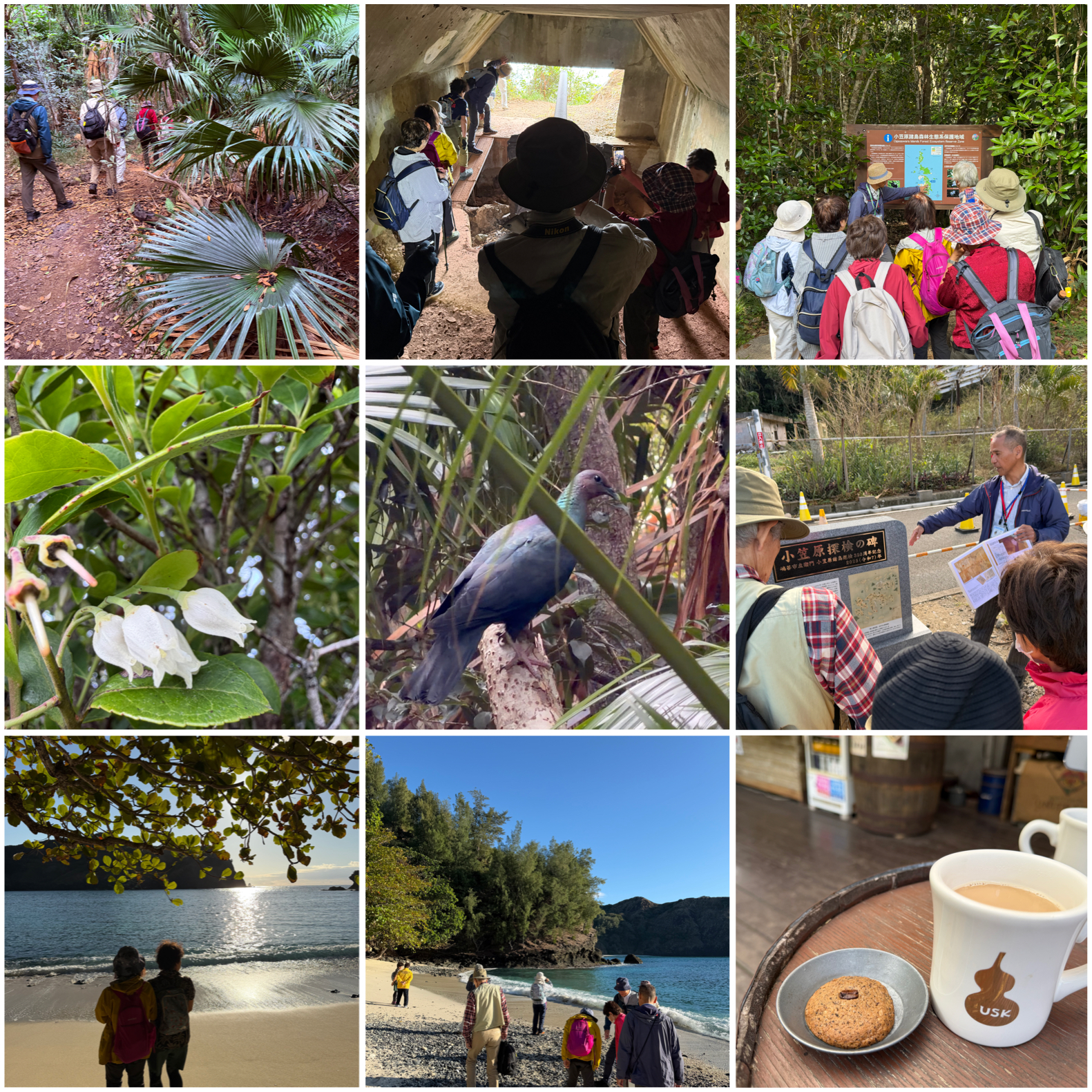 団体様ツアー対応