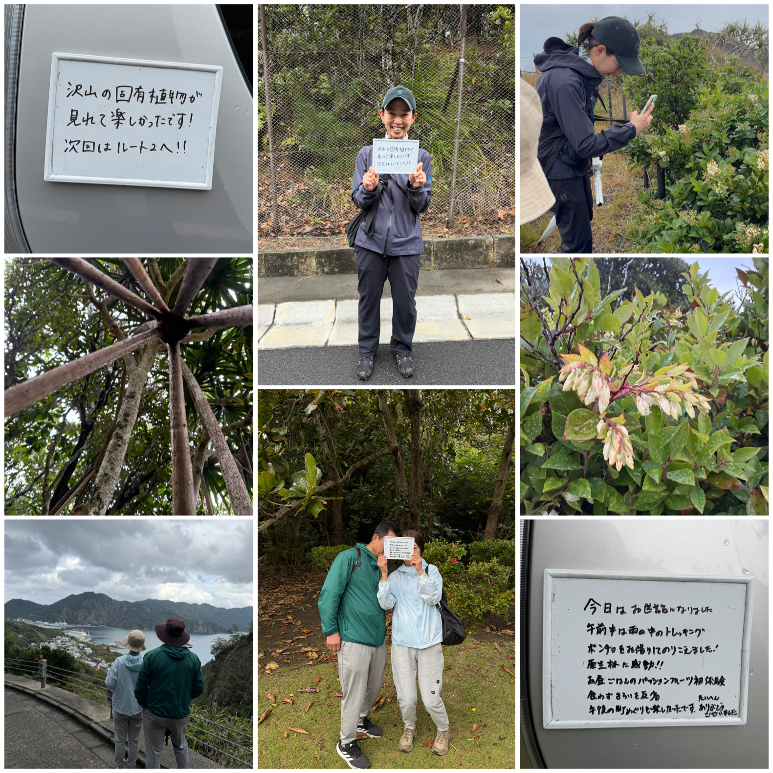 ムニンシャシャンボはこれからが満開！