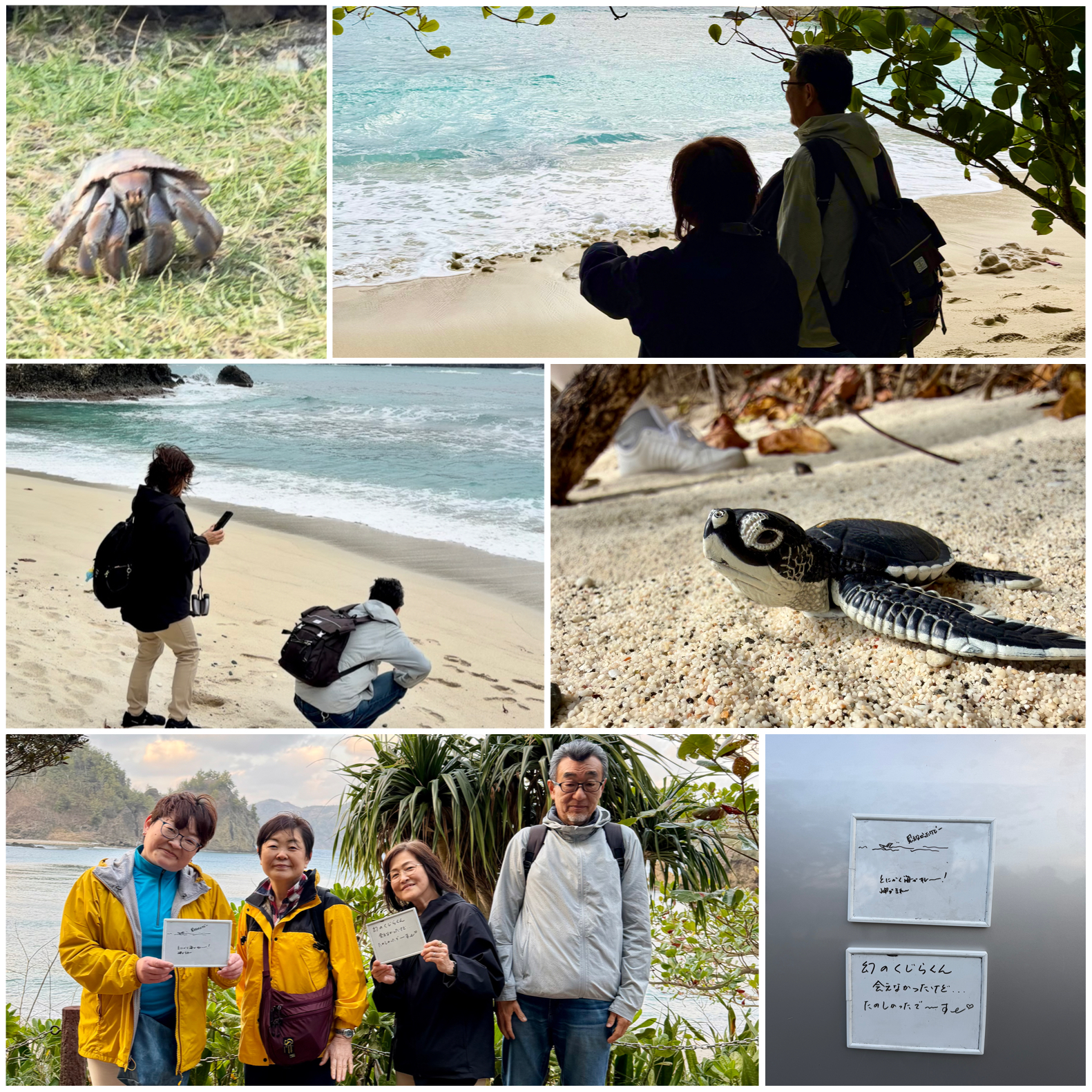 父島に来たら島内探訪！