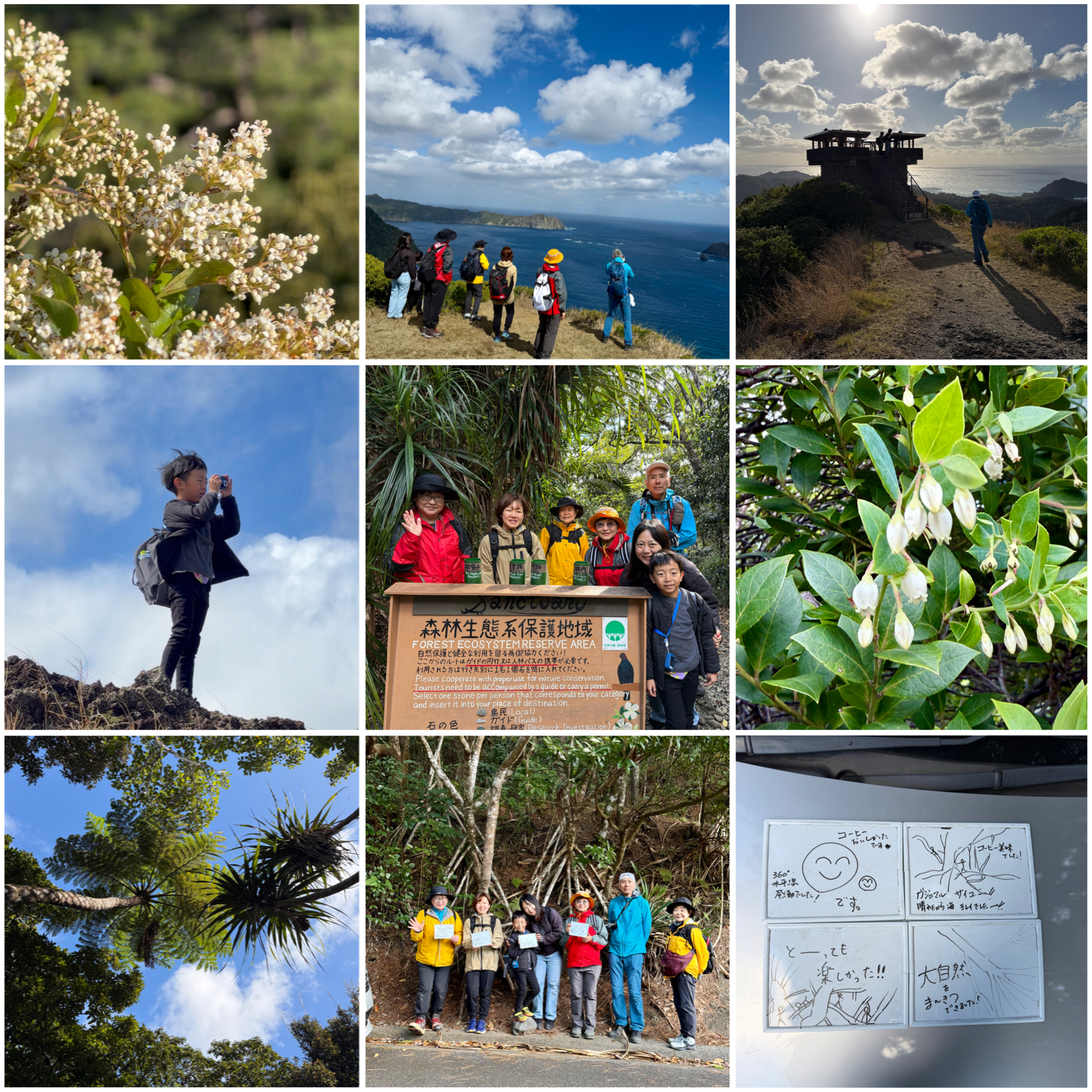 小学生も森歩き！