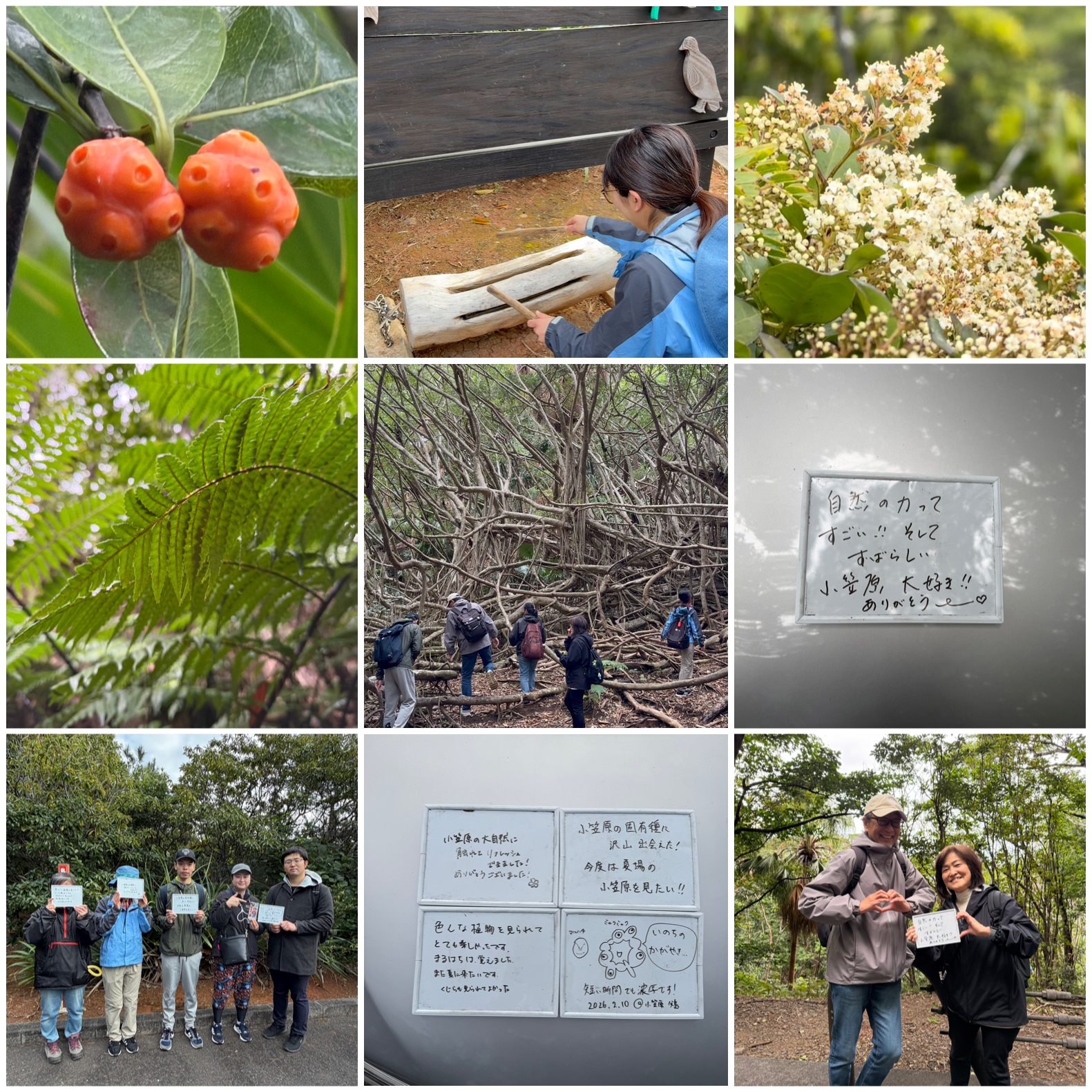 花も実もいっぱいの父島