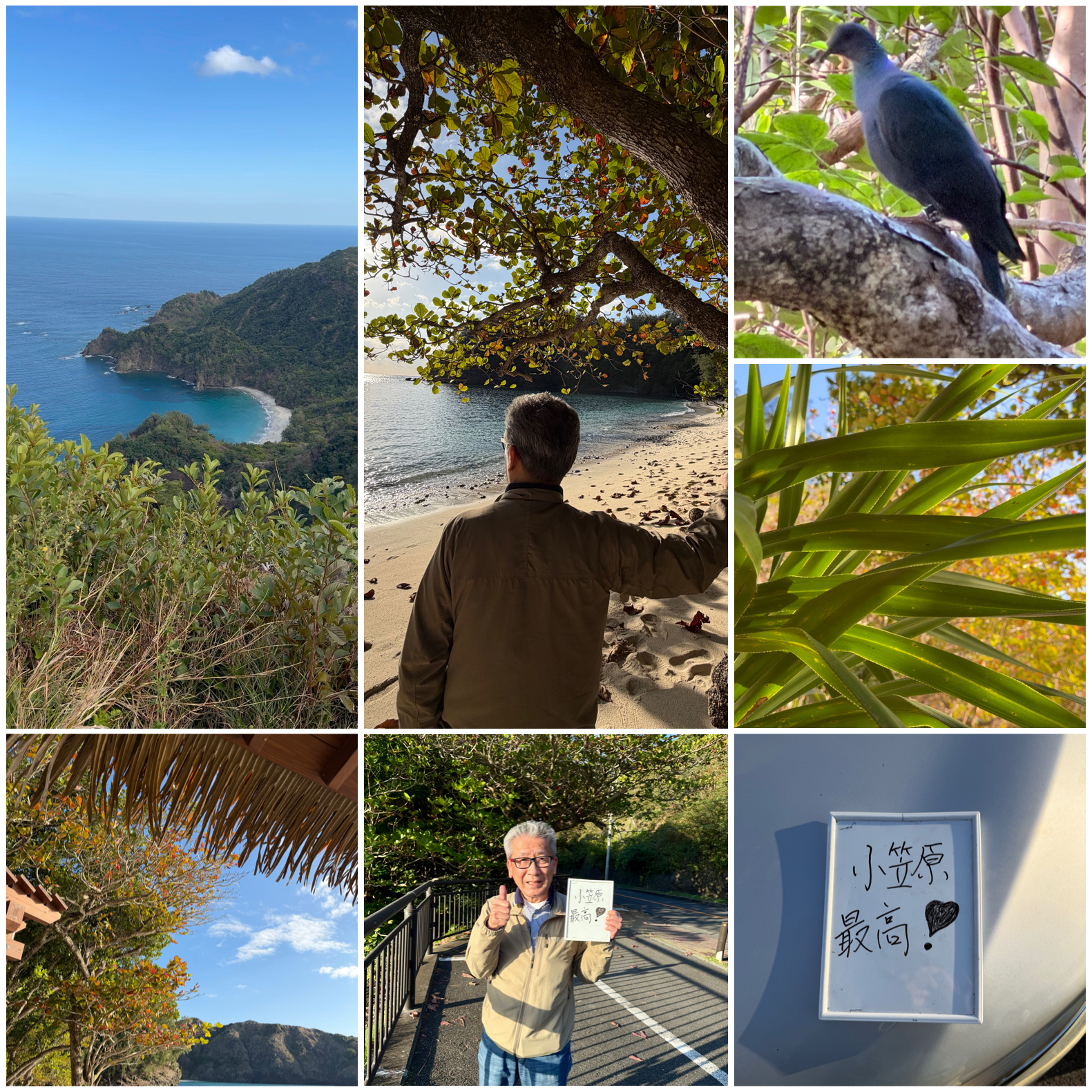 父島に到着したら探訪へ