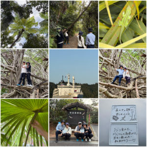 おかさわら丸が入港しました