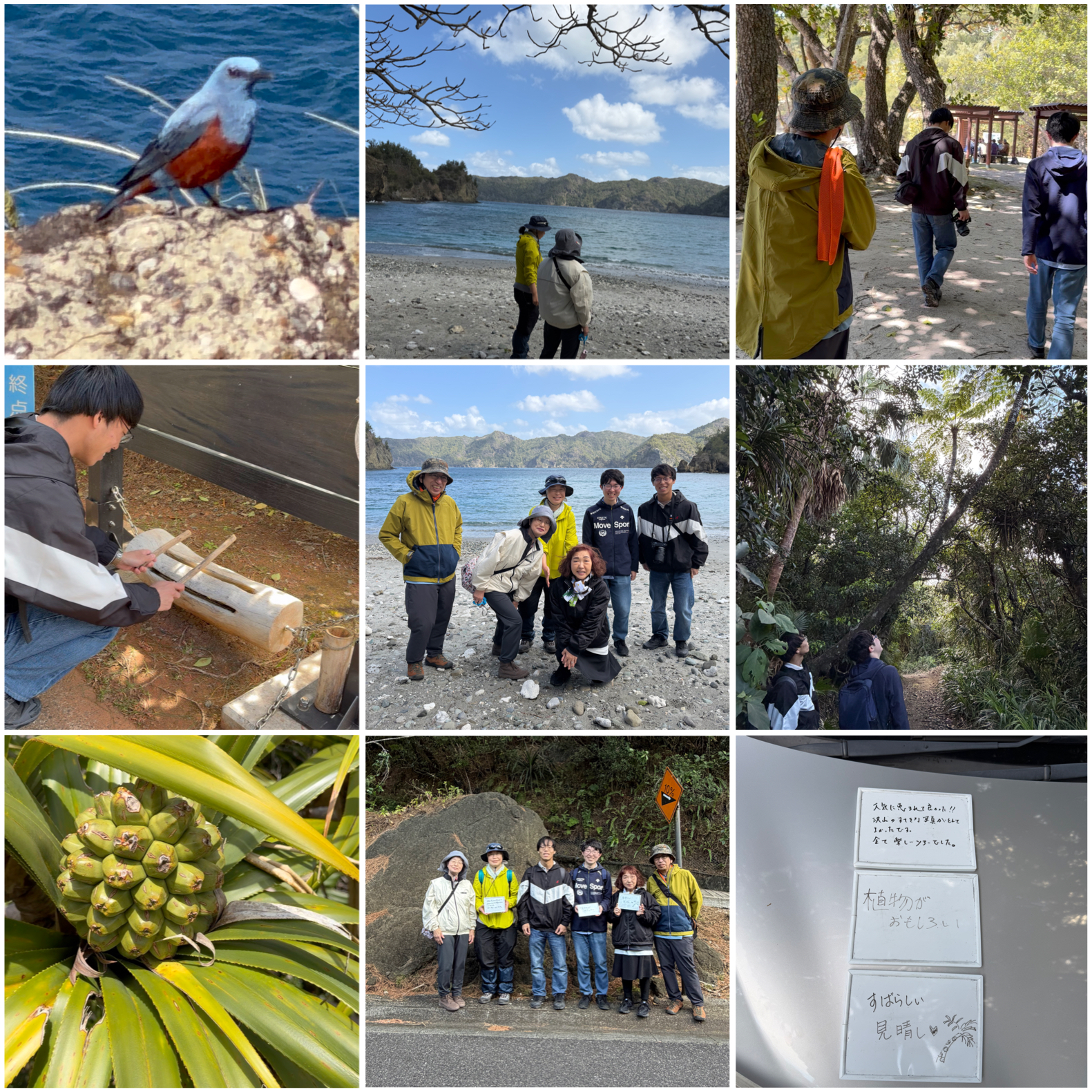 のんびり島内探訪ツアー